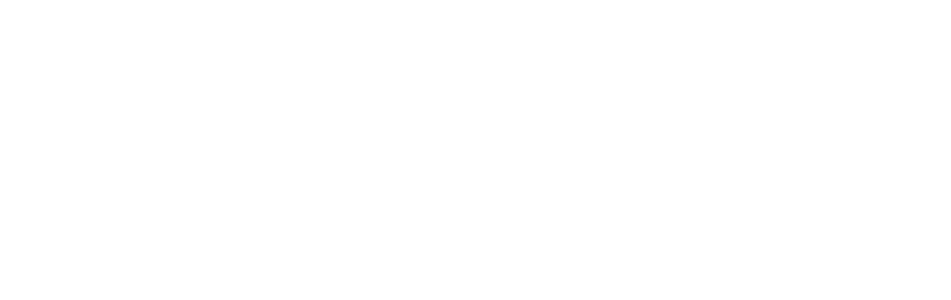 logo-dra-patricia-2-2
